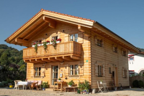 Alchemilla Bad Feilnbach